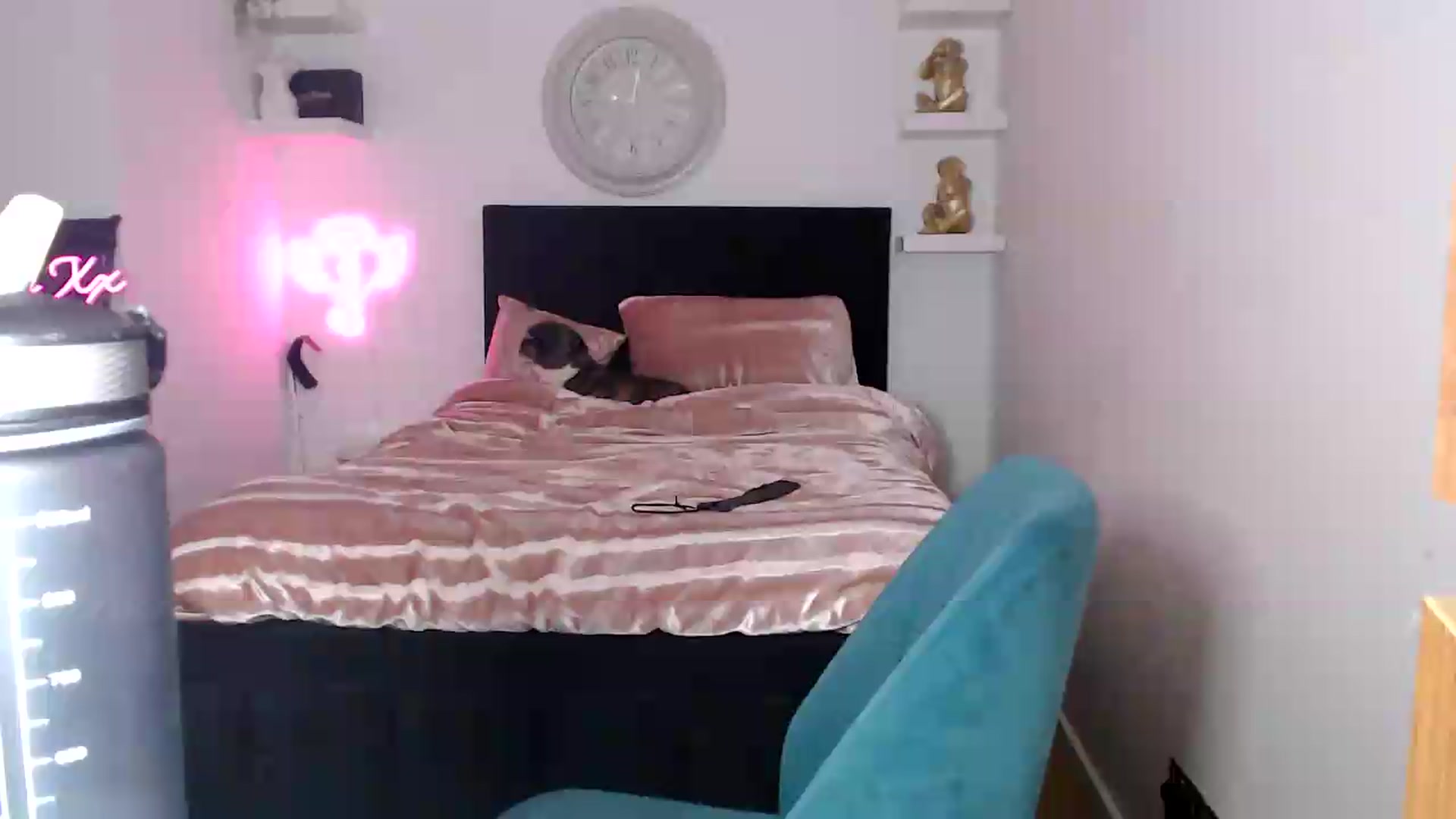 Gallery image thumbnail from innocentSamx's myfreecams stream on, 09/12/2026, 13:17 image 20 of 20
