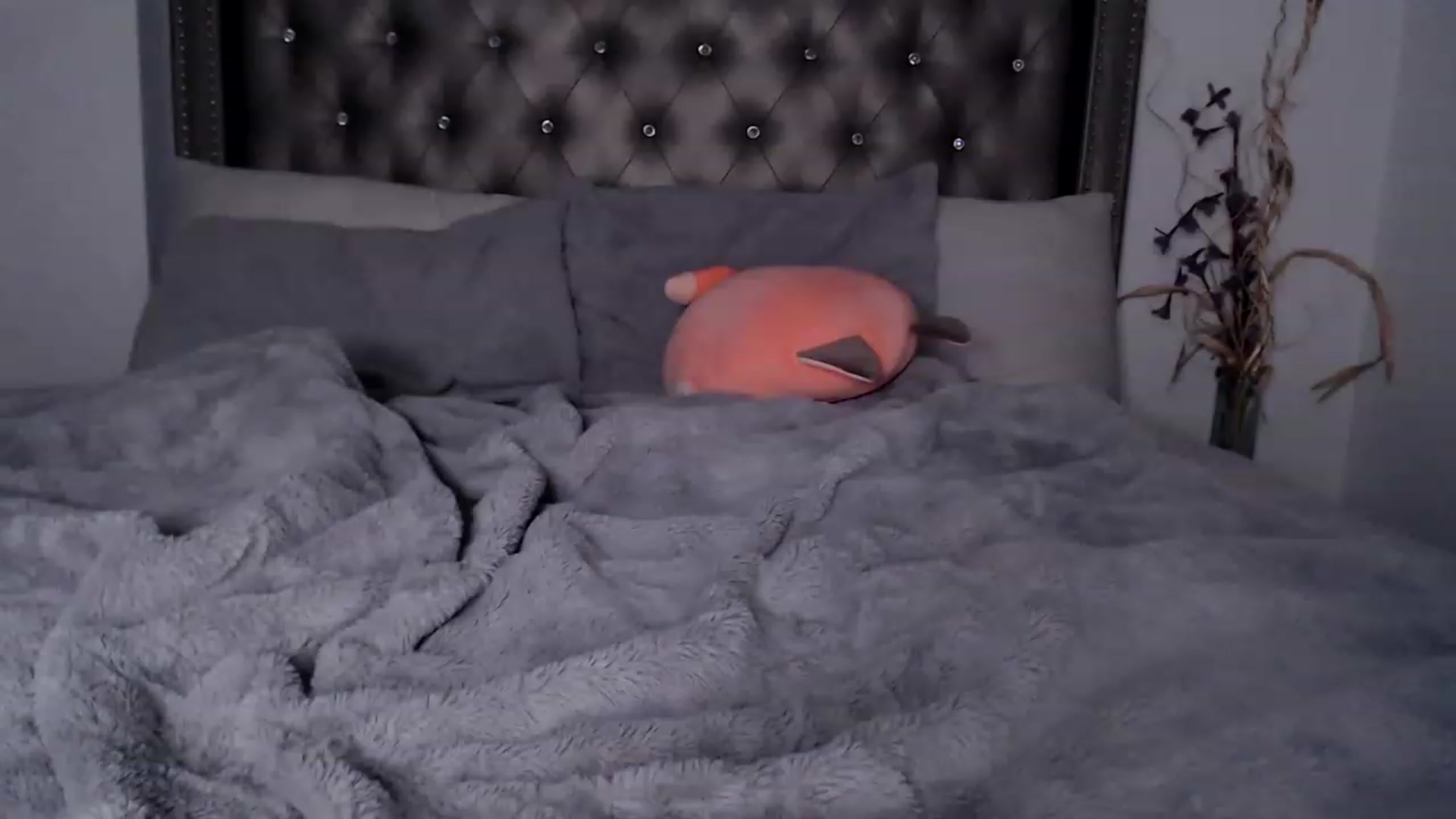 Gallery image thumbnail from iplayhardbabe's myfreecams stream on, 02/21/2023, 09:38 image 11 of 20