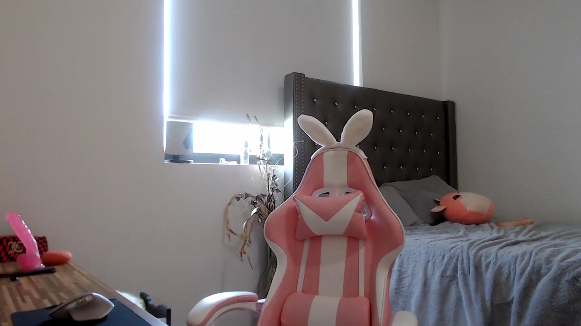 Gallery image thumbnail from iplayhardbabe's myfreecams stream on, 11/28/2023, 18:11 image 20 of 20