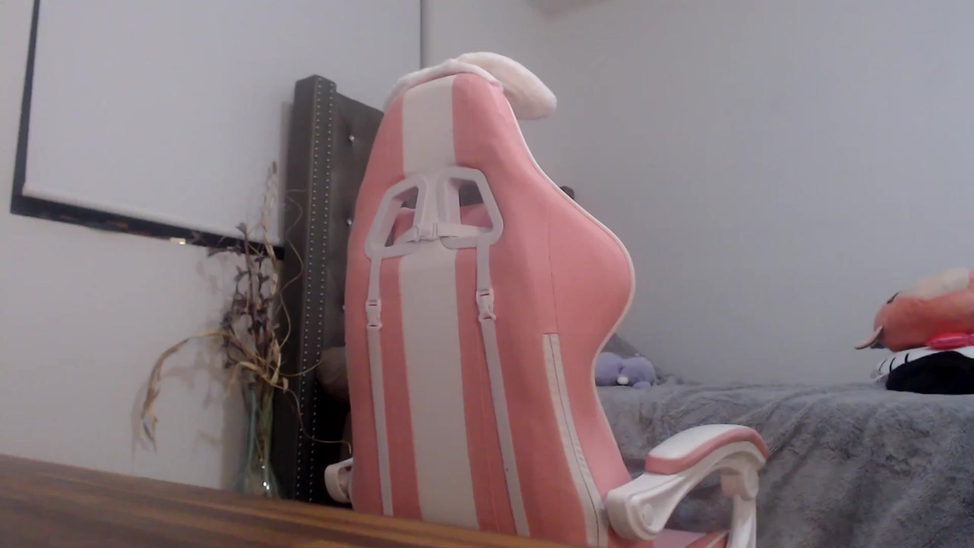 Gallery image thumbnail from iplayhardbabe's myfreecams stream on, 12/13/2023, 24:11 image 9 of 20