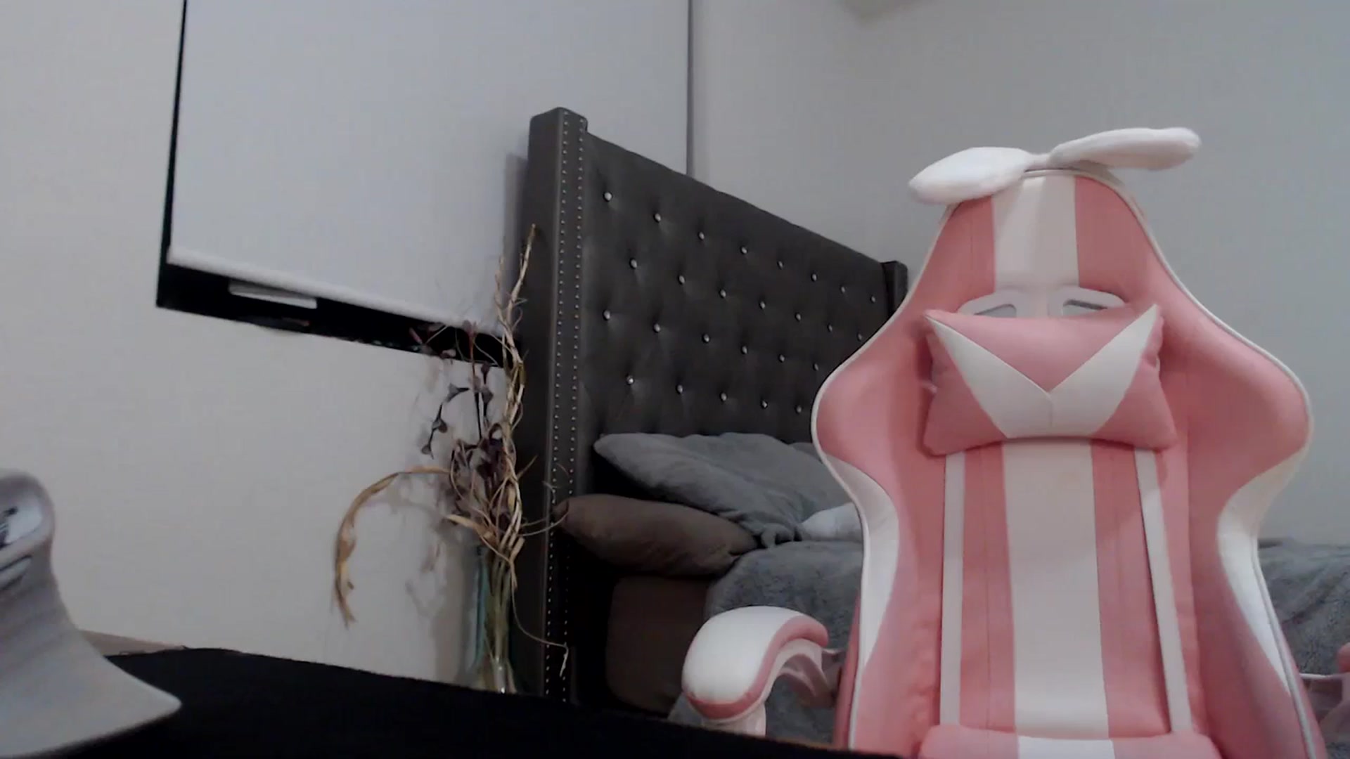 Gallery image thumbnail from iplayhardbabe's myfreecams stream on, 12/14/2023, 01:12 image 2 of 20