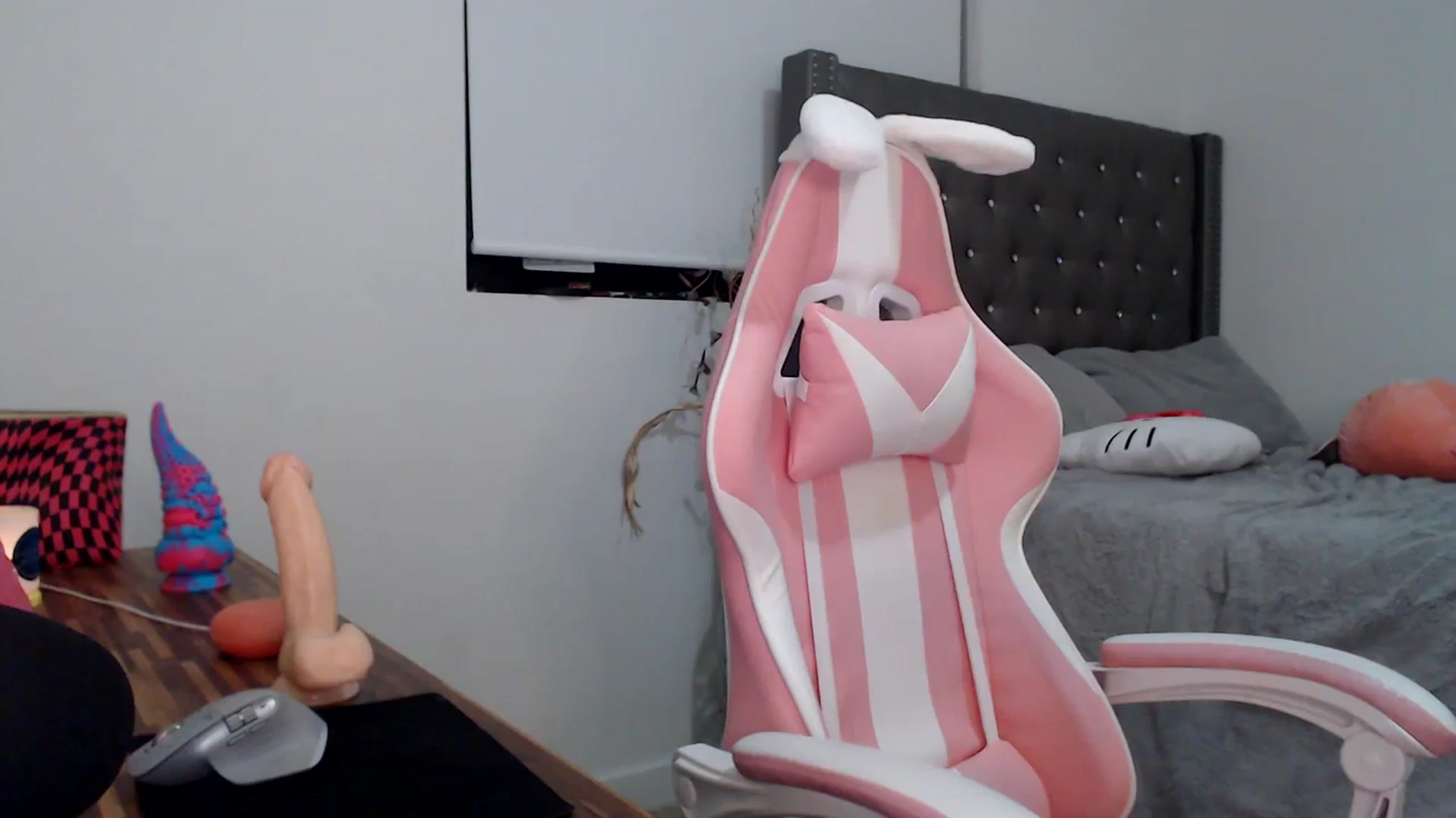 Gallery image thumbnail from iplayhardbabe's myfreecams stream on, 12/14/2023, 01:12 image 11 of 20