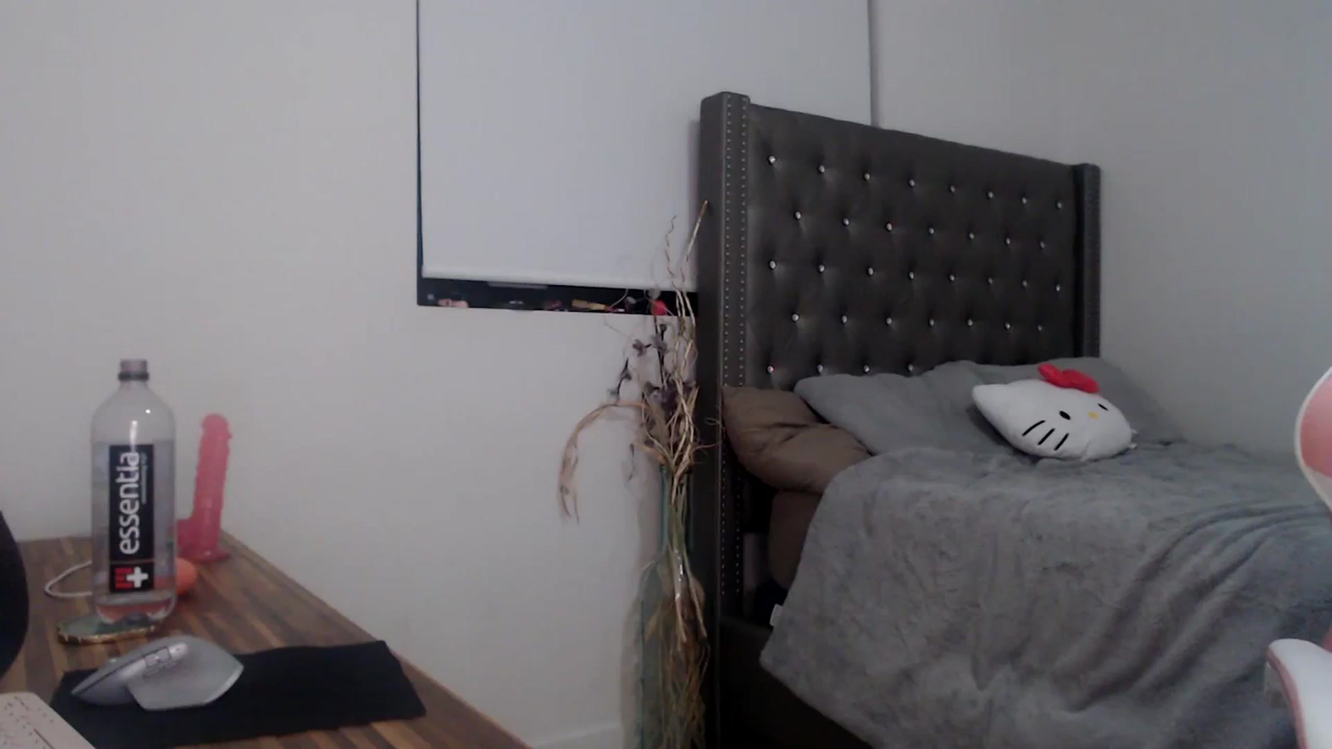 Gallery image thumbnail from iplayhardbabe's myfreecams stream on, 12/24/2023, 23:11 image 17 of 20
