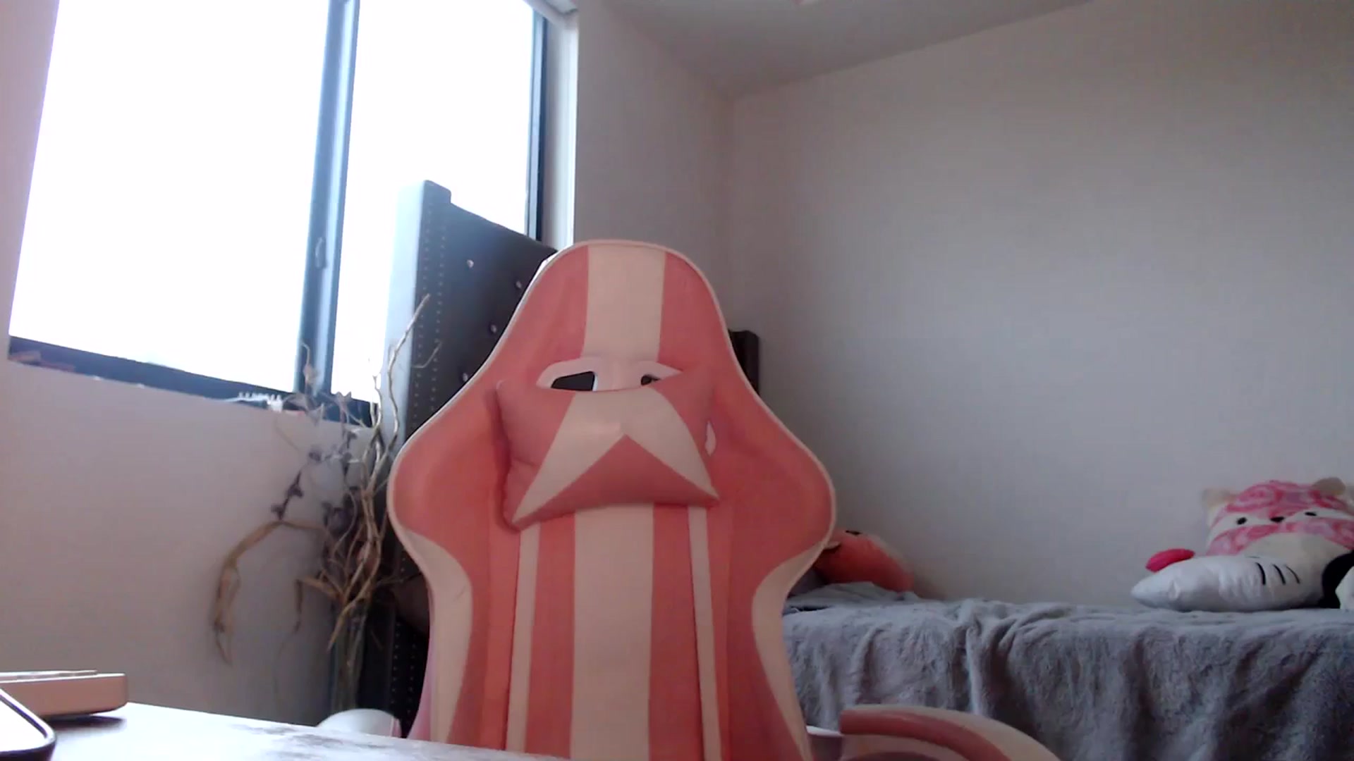 Gallery image thumbnail from iplayhardbabe's myfreecams stream on, 01/19/2024, 22:41 image 13 of 20