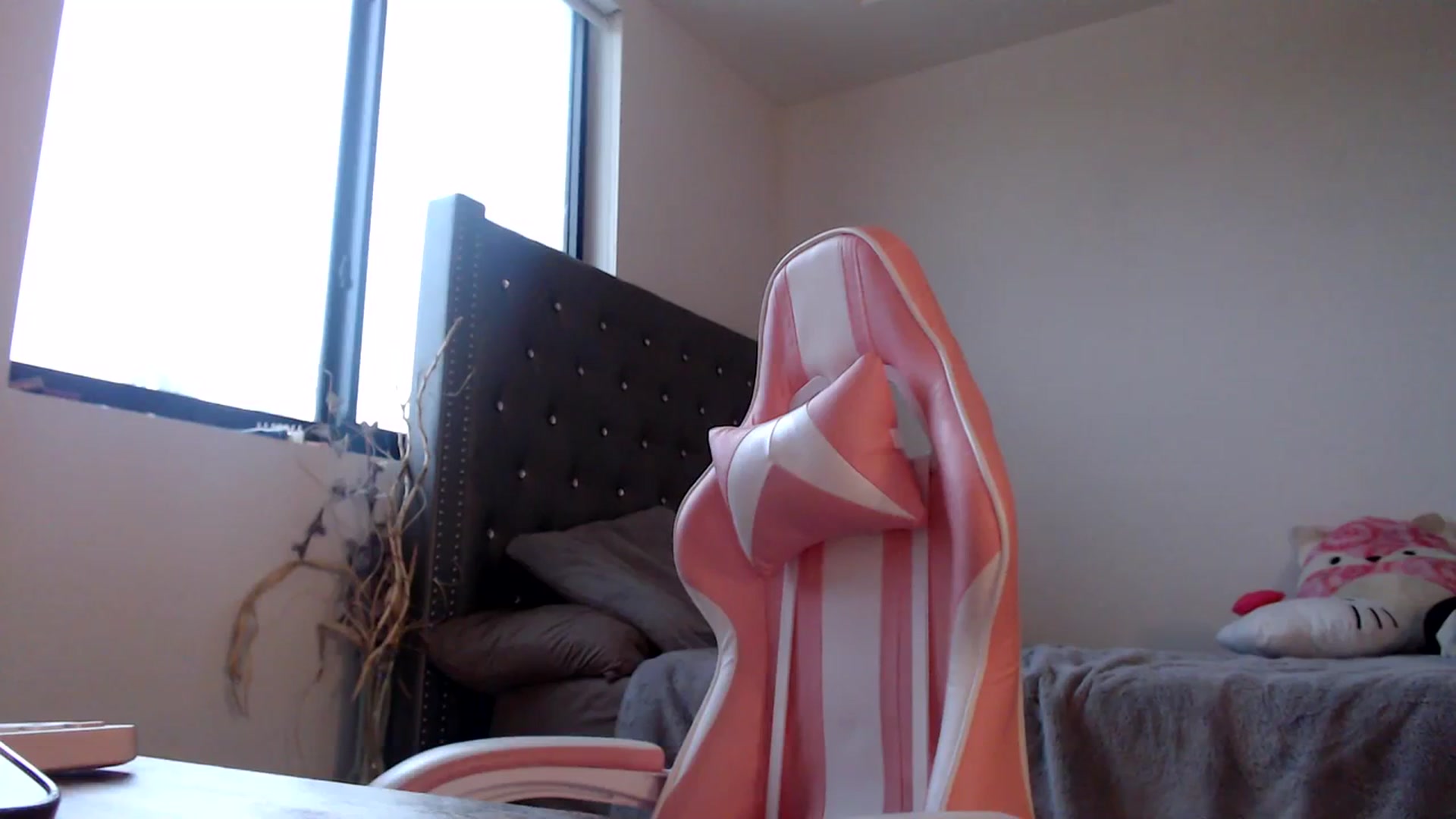 Gallery image thumbnail from iplayhardbabe's myfreecams stream on, 01/19/2024, 22:41 image 17 of 20