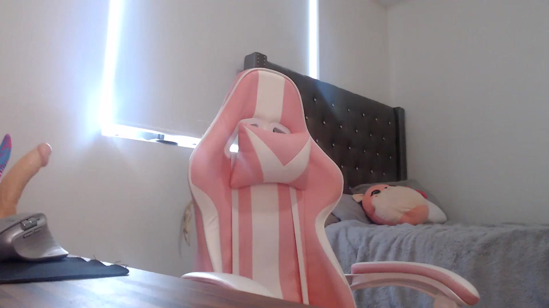 Gallery image thumbnail from iplayhardbabe's myfreecams stream on, 01/23/2024, 20:43 image 7 of 20