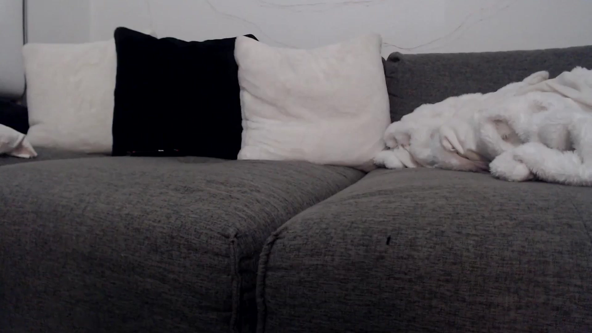 Gallery image thumbnail from iplayhardbabe's myfreecams stream on, 01/28/2024, 01:12 image 2 of 20