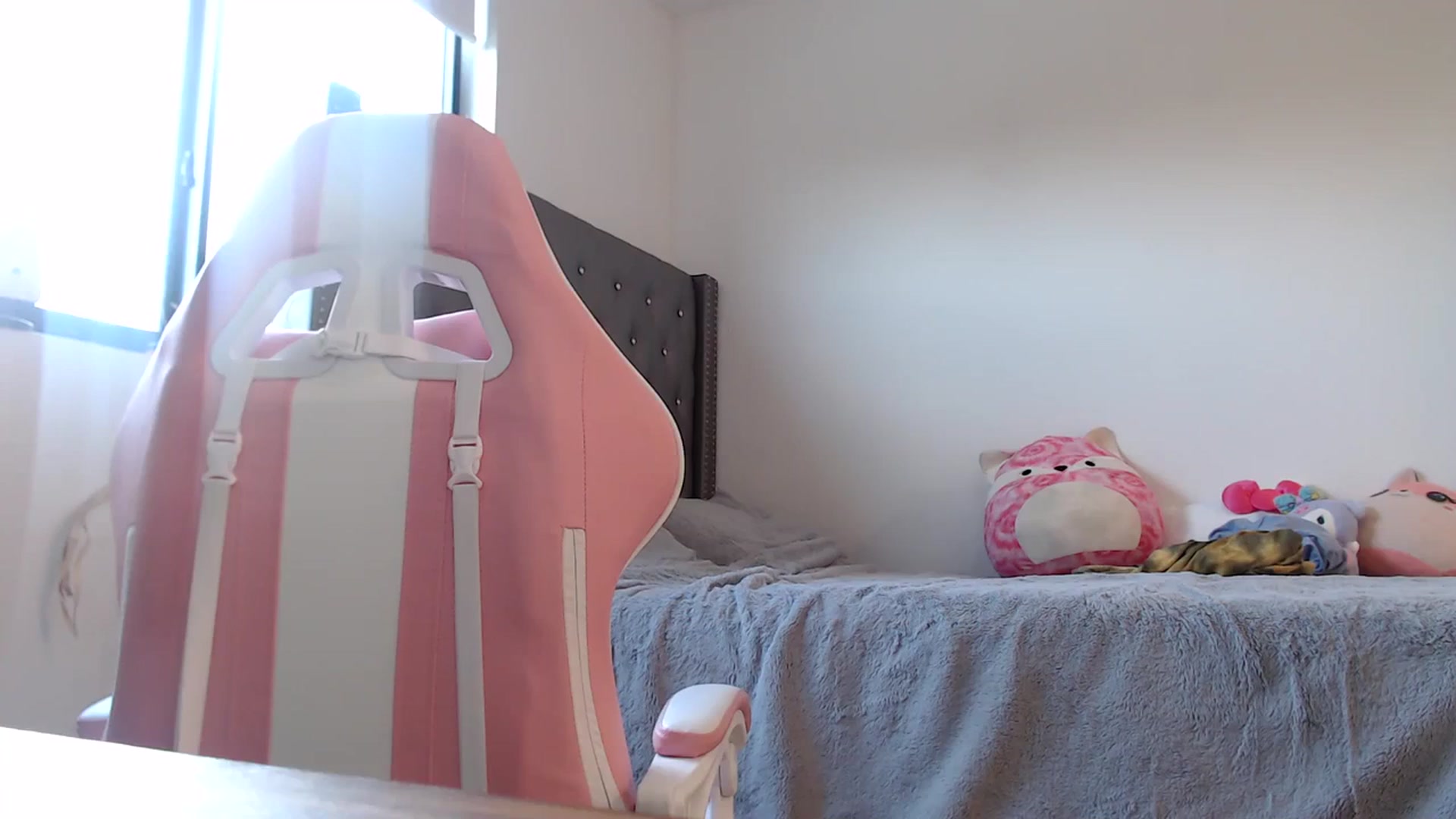 Gallery image thumbnail from iplayhardbabe's myfreecams stream on, 03/09/2024, 22:54 image 2 of 20