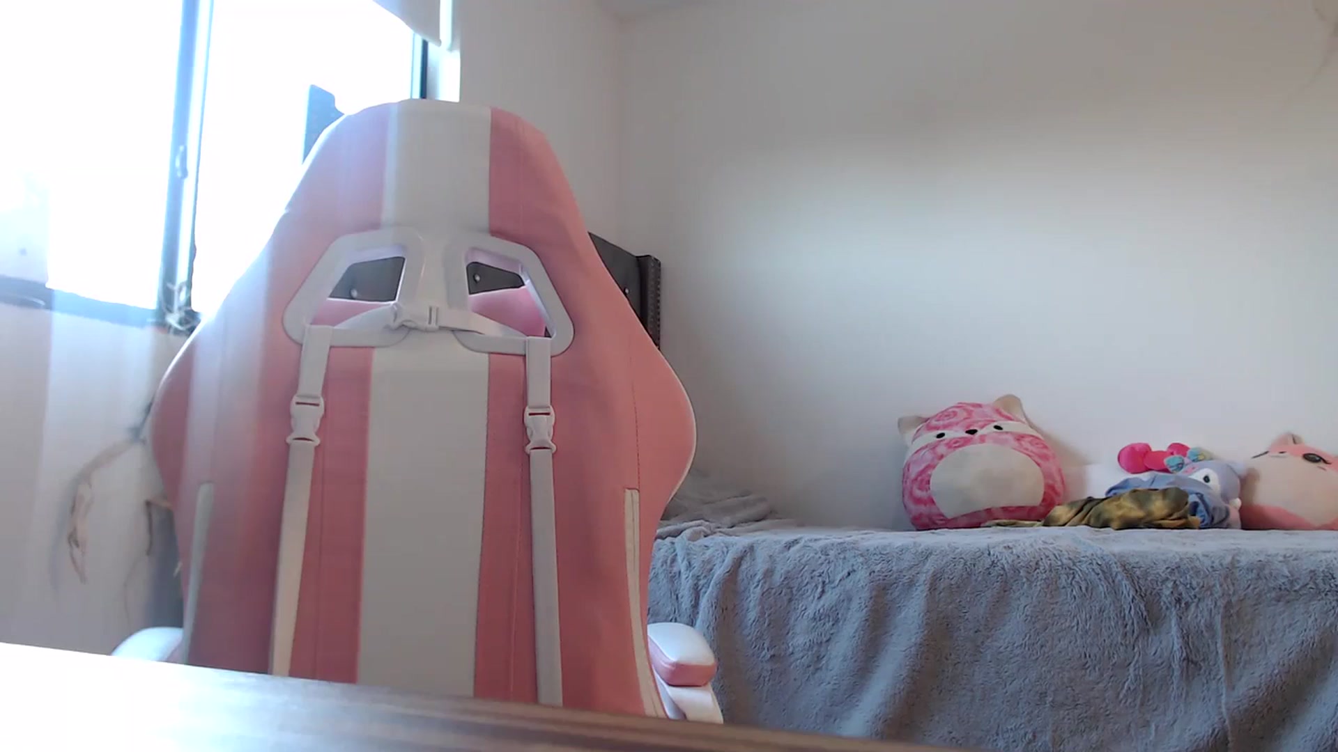 Gallery image thumbnail from iplayhardbabe's myfreecams stream on, 03/09/2024, 22:54 image 8 of 20