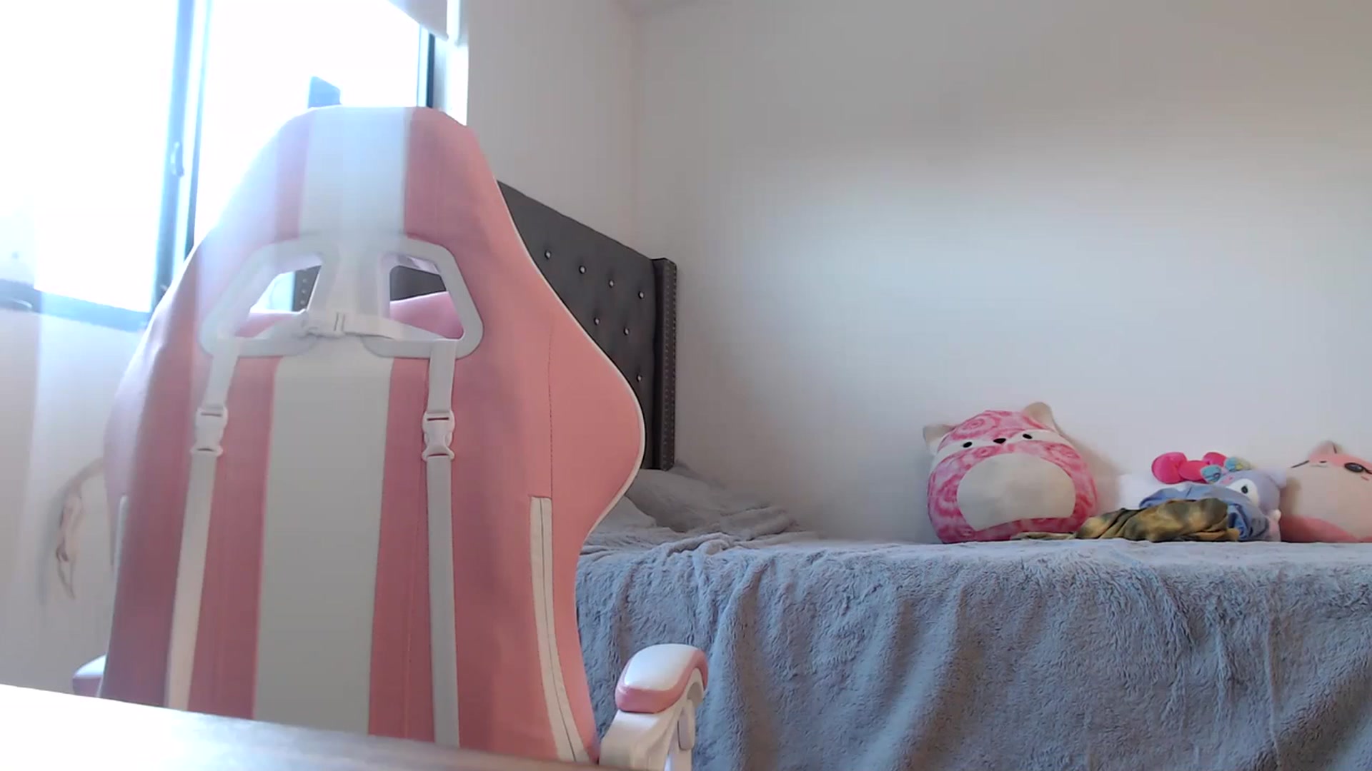 Gallery image thumbnail from iplayhardbabe's myfreecams stream on, 03/09/2024, 22:54 image 3 of 20