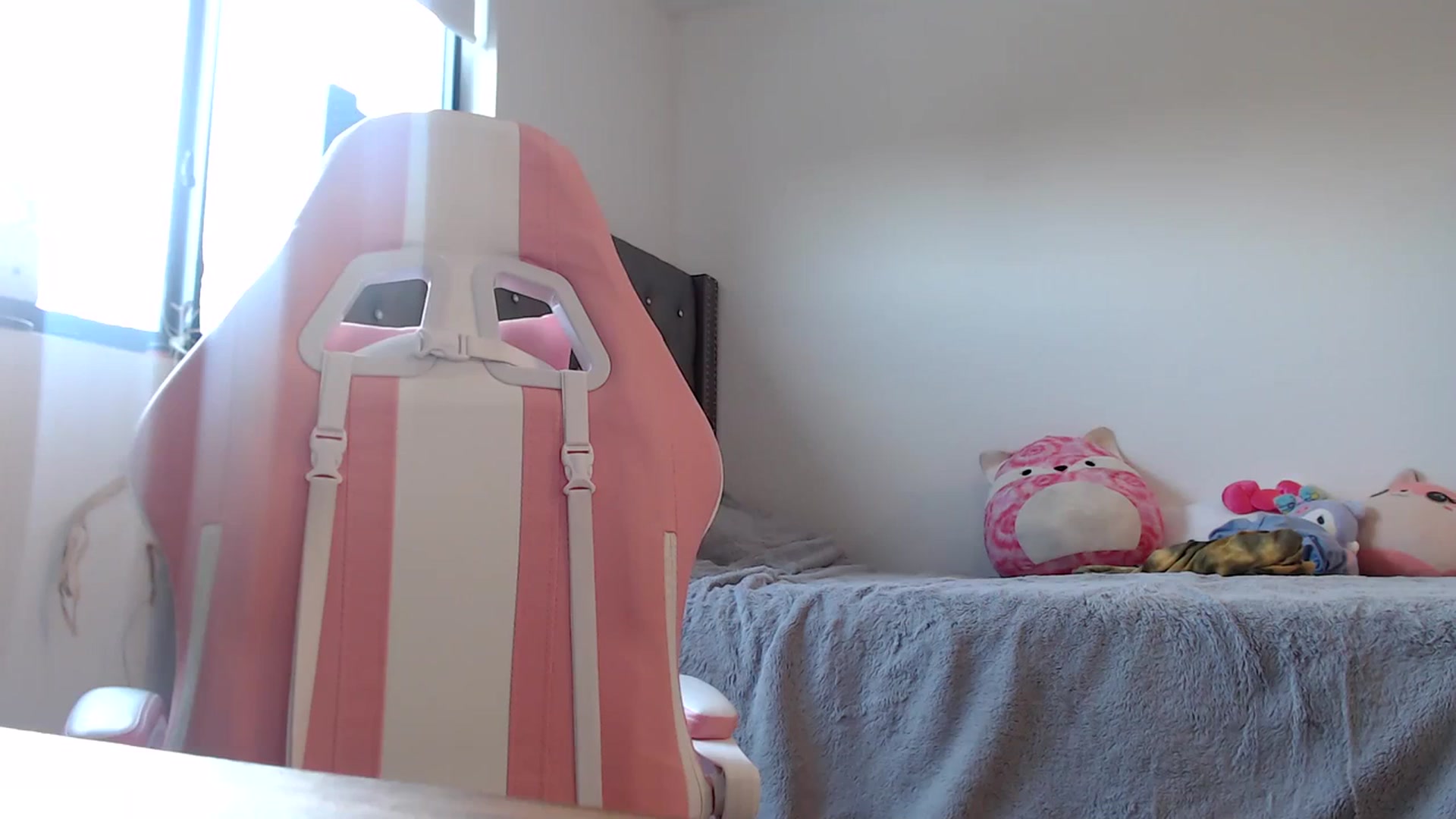 Gallery image thumbnail from iplayhardbabe's myfreecams stream on, 03/09/2024, 22:54 image 1 of 20