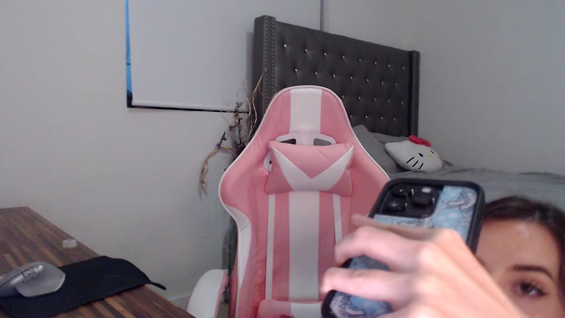 Gallery image thumbnail from iplayhardbabe's myfreecams stream on, 03/27/2024, 24:00 image 1 of 20