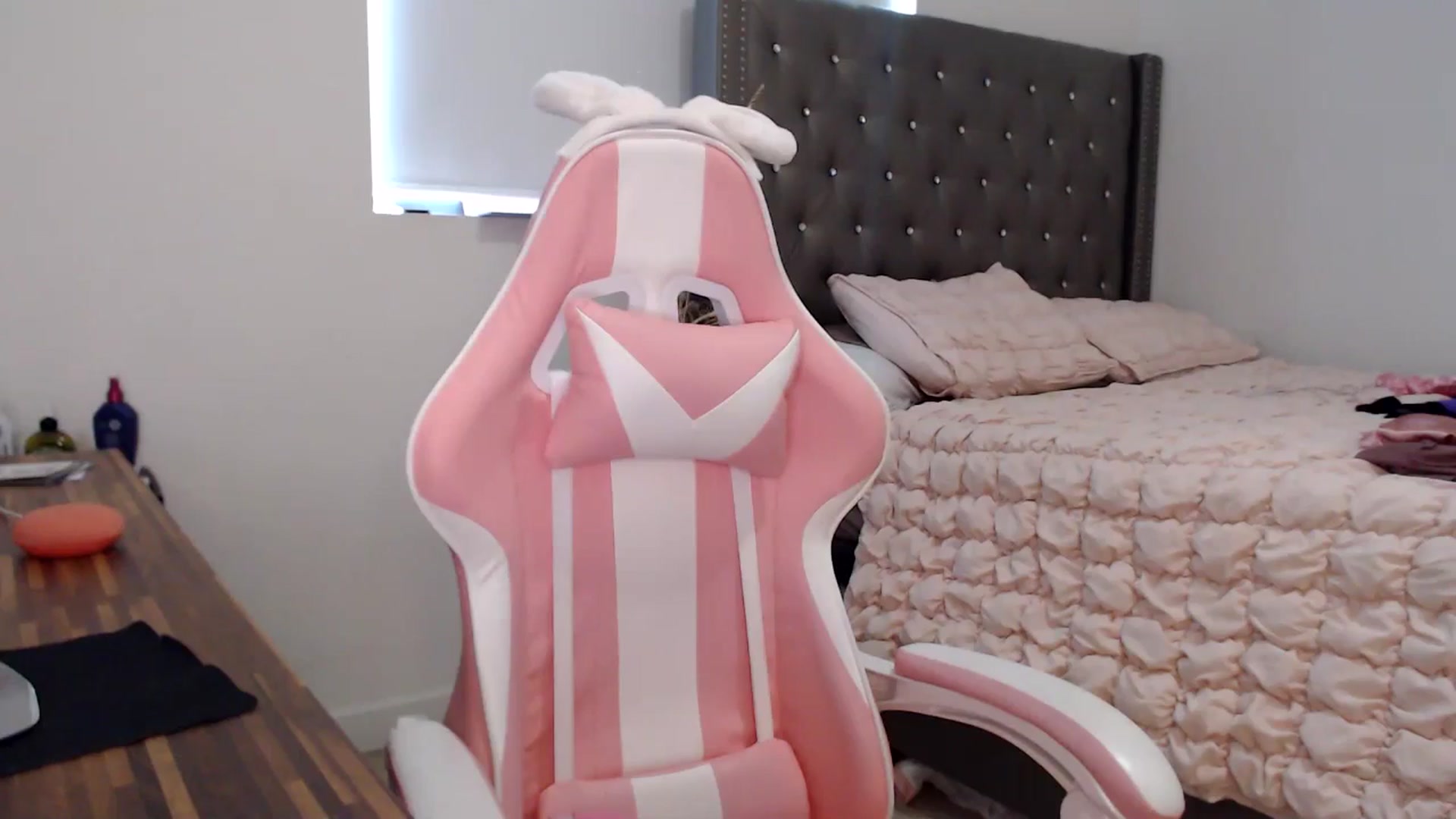 Gallery image thumbnail from iplayhardbabe's myfreecams stream on, 06/27/2024, 21:47 image 5 of 20