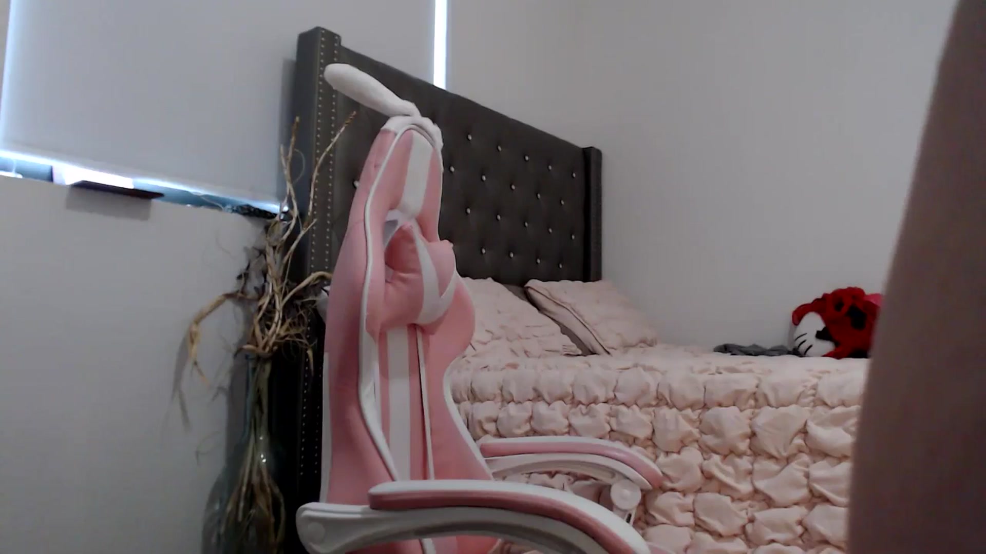 Gallery image thumbnail from iplayhardbabe's myfreecams stream on, 07/05/2024, 23:43 image 19 of 20