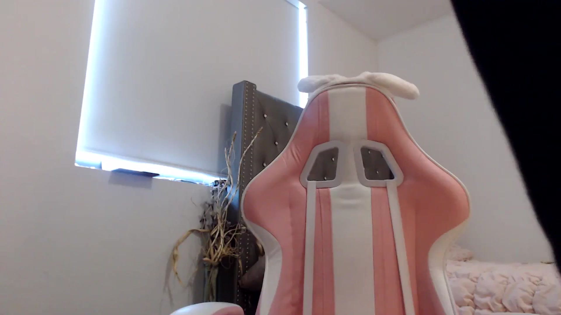 Gallery image thumbnail from iplayhardbabe's myfreecams stream on, 07/25/2024, 21:23 image 16 of 20