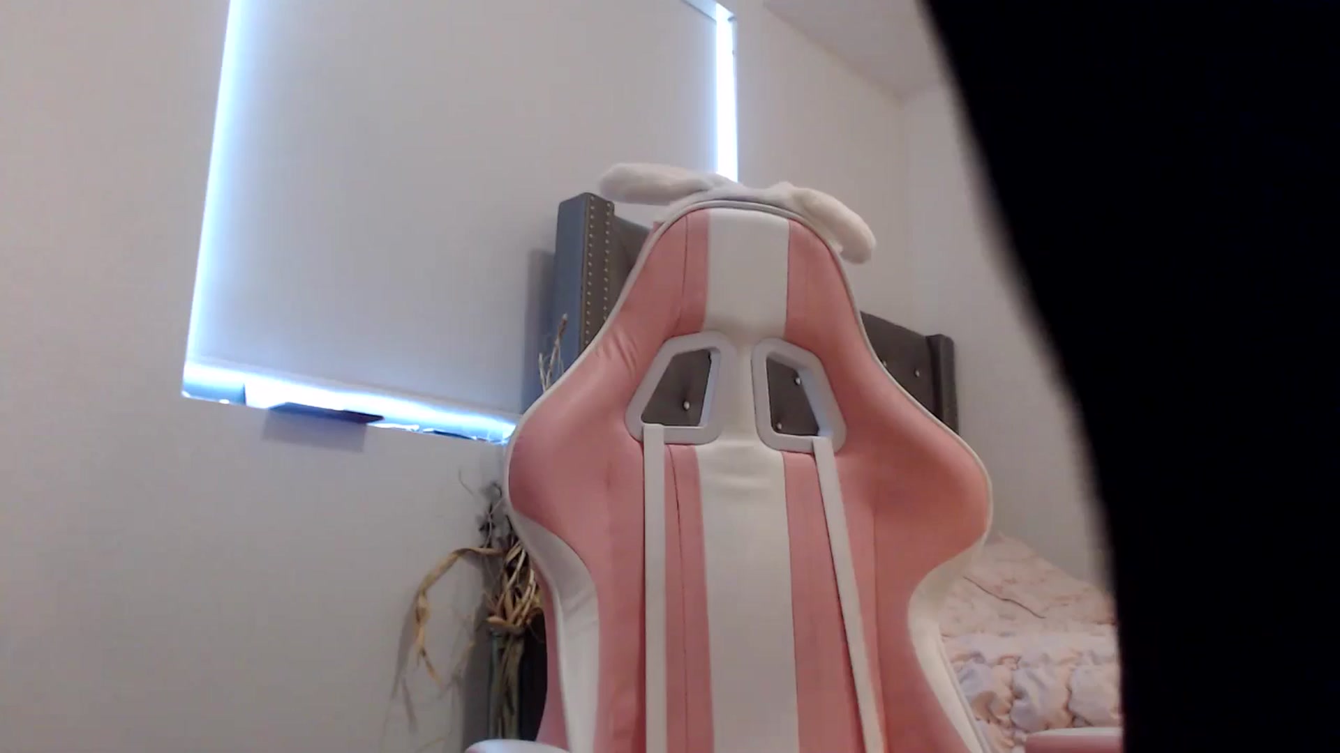 Gallery image thumbnail from iplayhardbabe's myfreecams stream on, 07/25/2024, 21:23 image 19 of 20