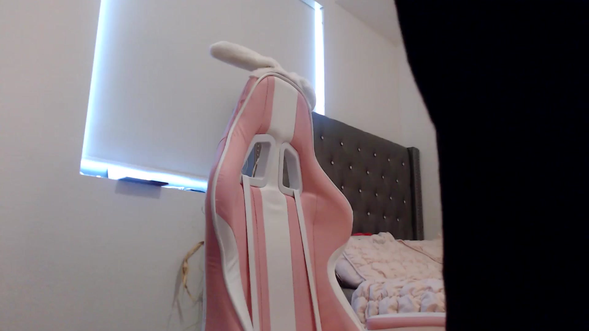 Gallery image thumbnail from iplayhardbabe's myfreecams stream on, 07/25/2024, 21:23 image 20 of 20
