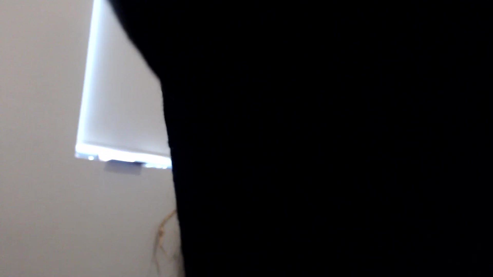 Gallery image thumbnail from iplayhardbabe's myfreecams stream on, 07/25/2024, 22:28 image 14 of 20