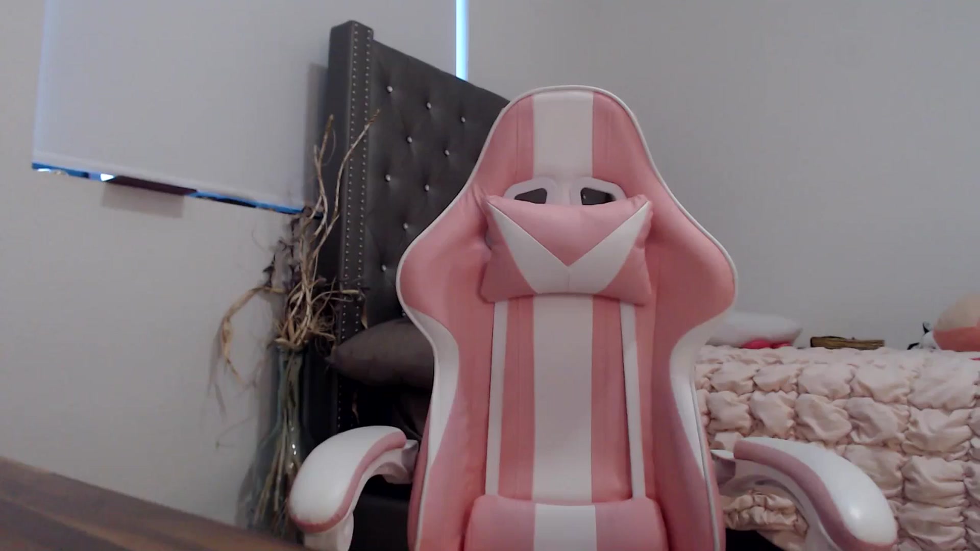 Gallery image thumbnail from iplayhardbabe's myfreecams stream on, 08/01/2024, 24:24 image 5 of 20