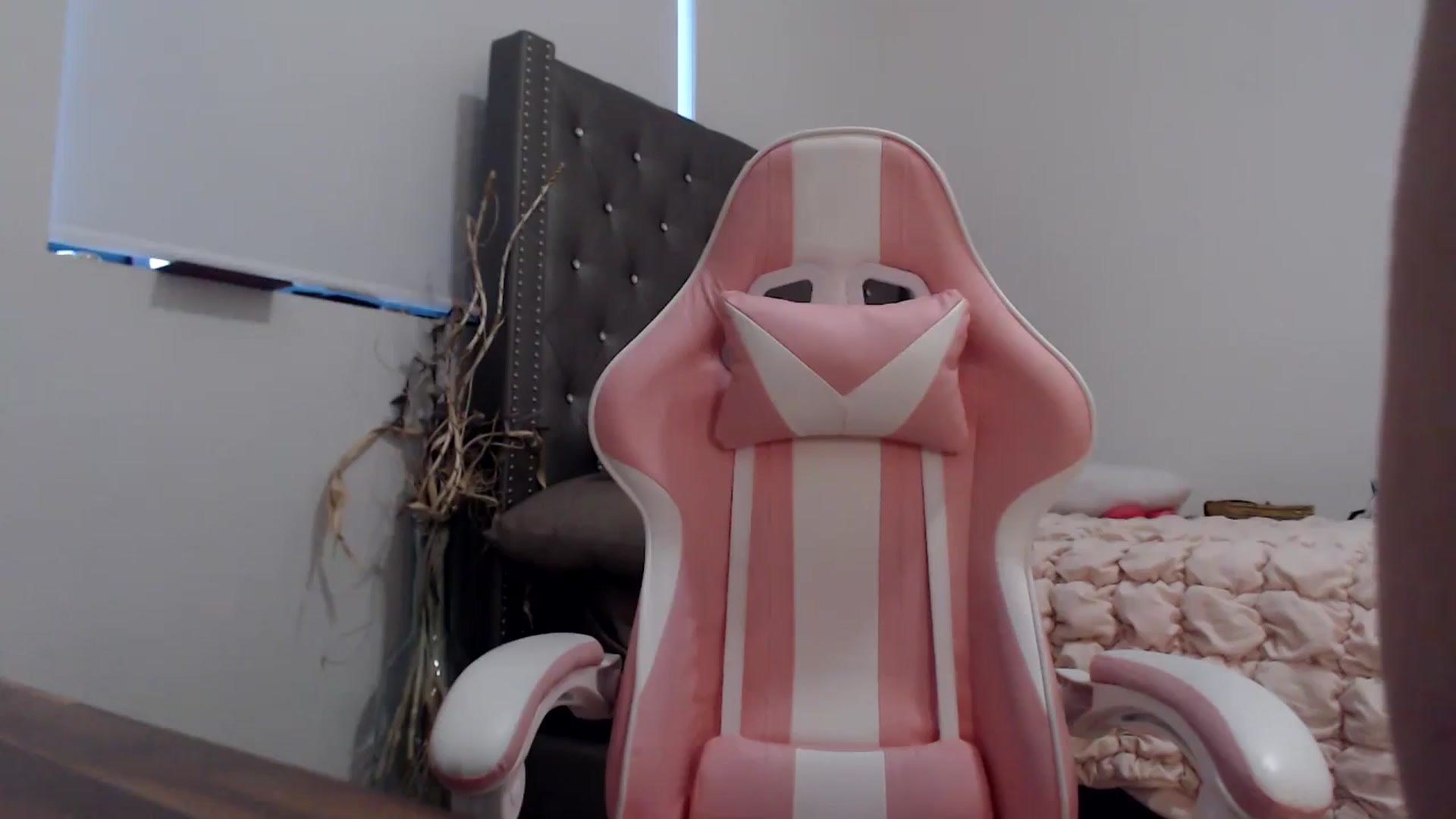 Gallery image thumbnail from iplayhardbabe's myfreecams stream on, 08/01/2024, 24:24 image 4 of 20