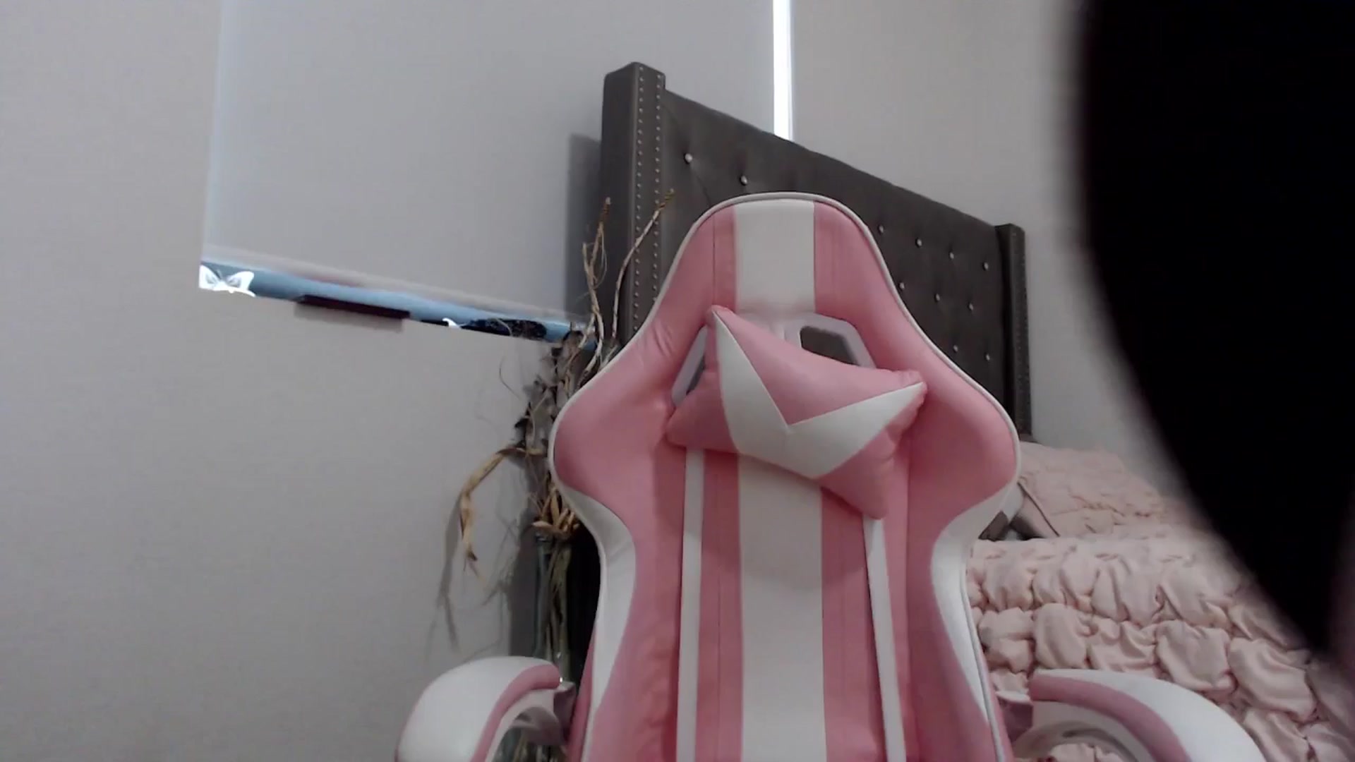 Gallery image thumbnail from iplayhardbabe's myfreecams stream on, 08/03/2024, 23:13 image 2 of 20