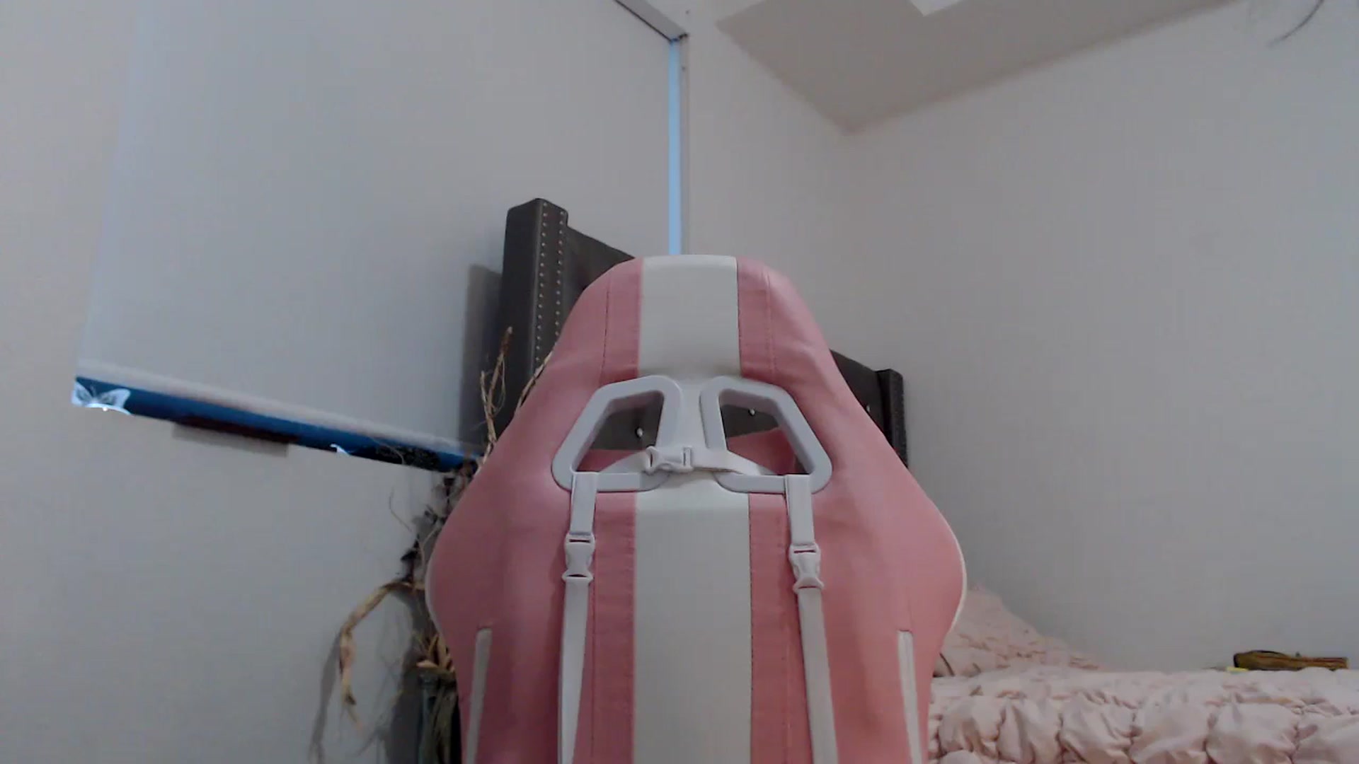 Gallery image thumbnail from iplayhardbabe's myfreecams stream on, 08/03/2024, 23:52 image 15 of 20