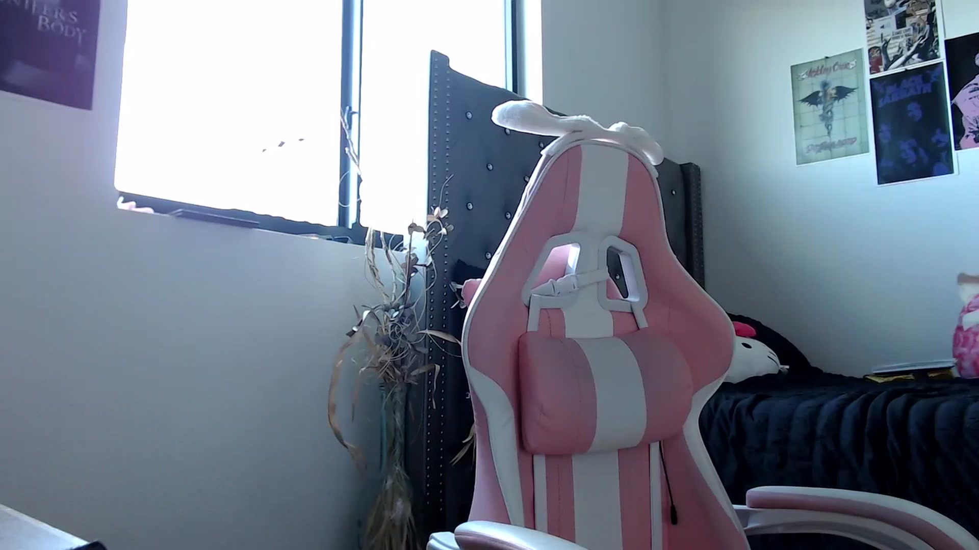 Gallery image thumbnail from iplayhardbabe's myfreecams stream on, 09/23/2024, 21:06 image 17 of 20