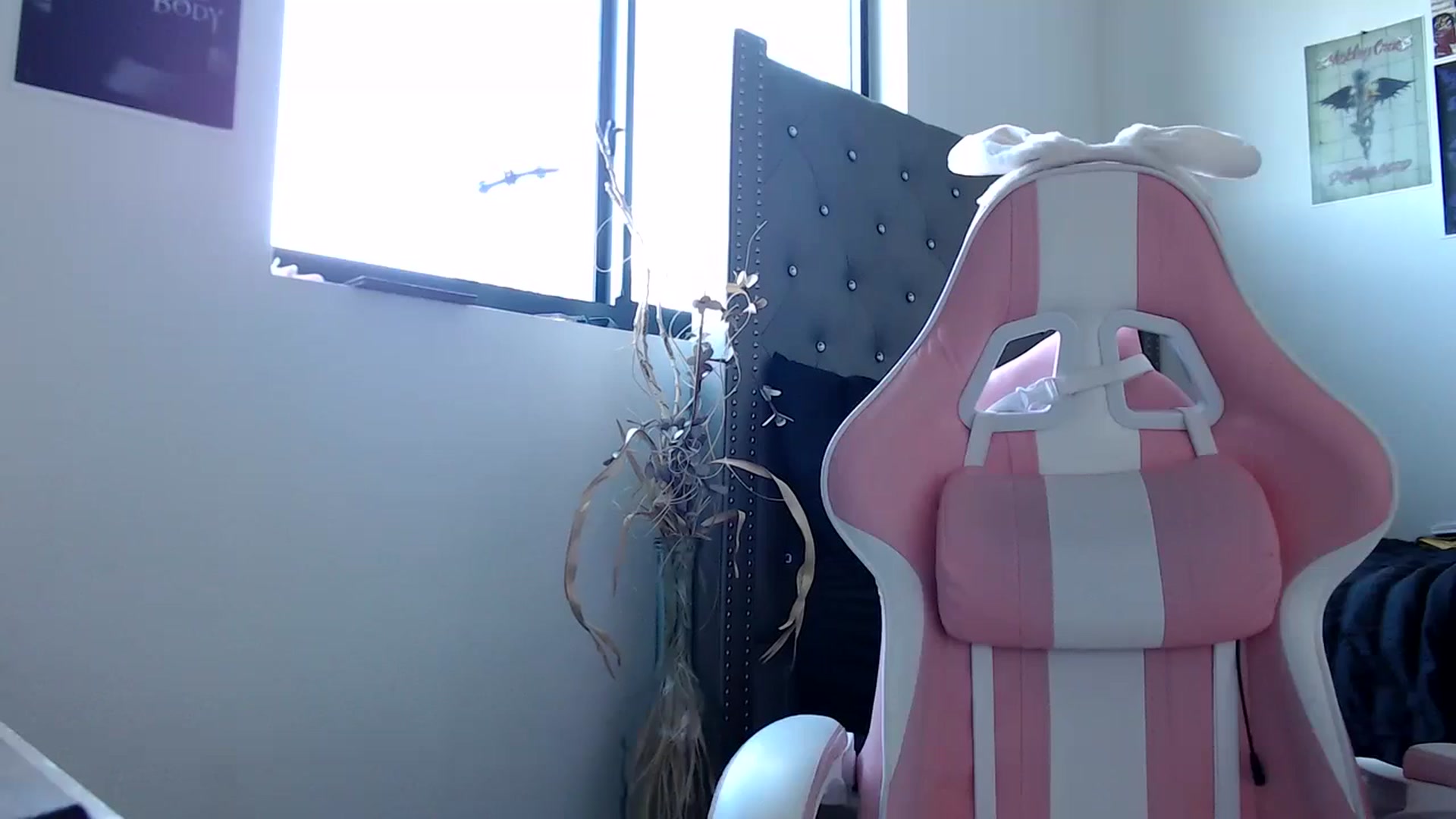 Gallery image thumbnail from iplayhardbabe's myfreecams stream on, 09/23/2024, 21:06 image 14 of 20