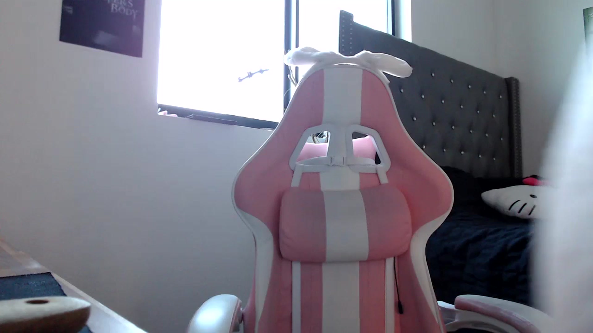 Gallery image thumbnail from iplayhardbabe's myfreecams stream on, 09/23/2024, 23:07 image 6 of 20
