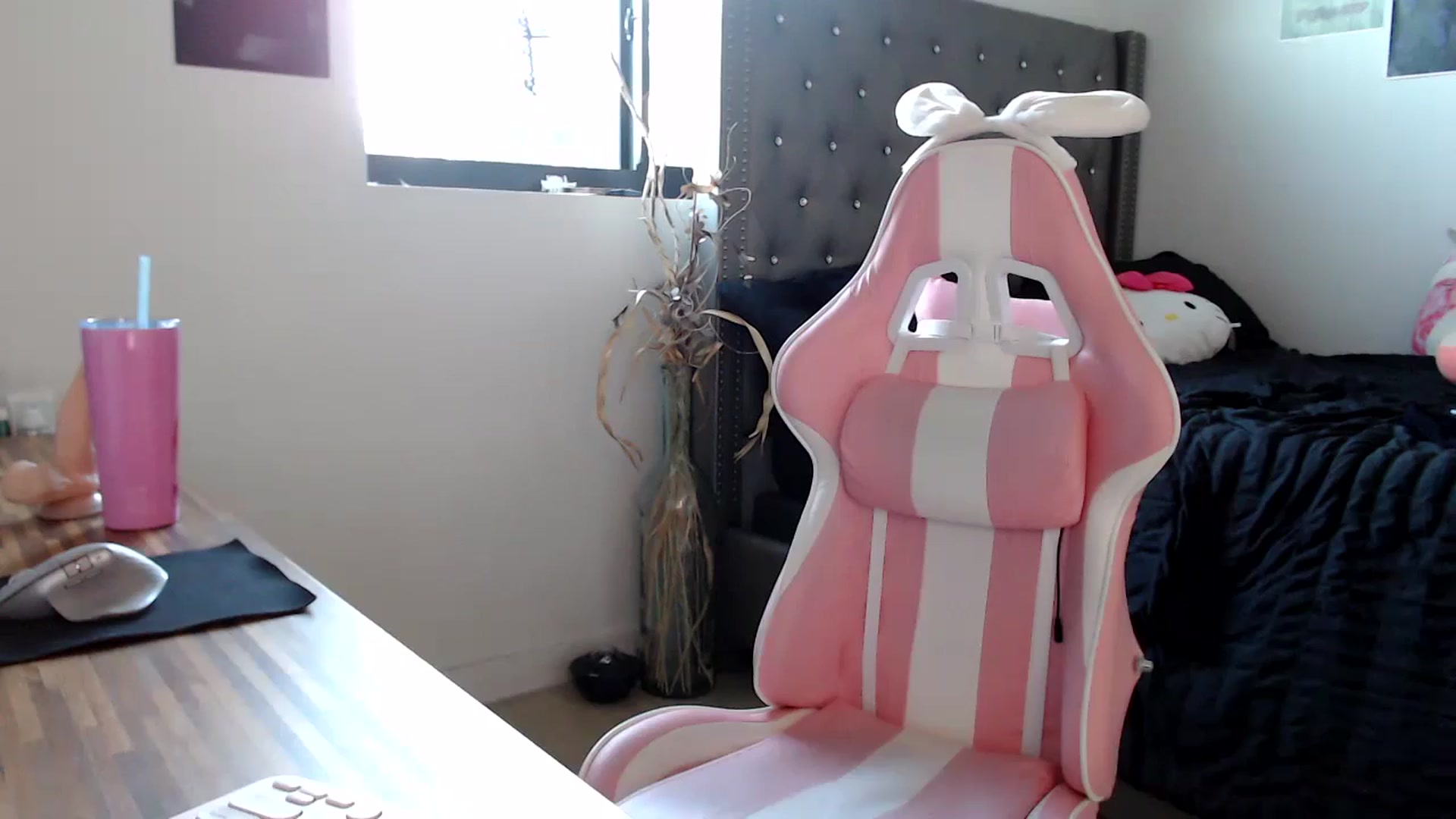 Gallery image thumbnail from iplayhardbabe's myfreecams stream on, 09/29/2024, 22:54 image 13 of 20