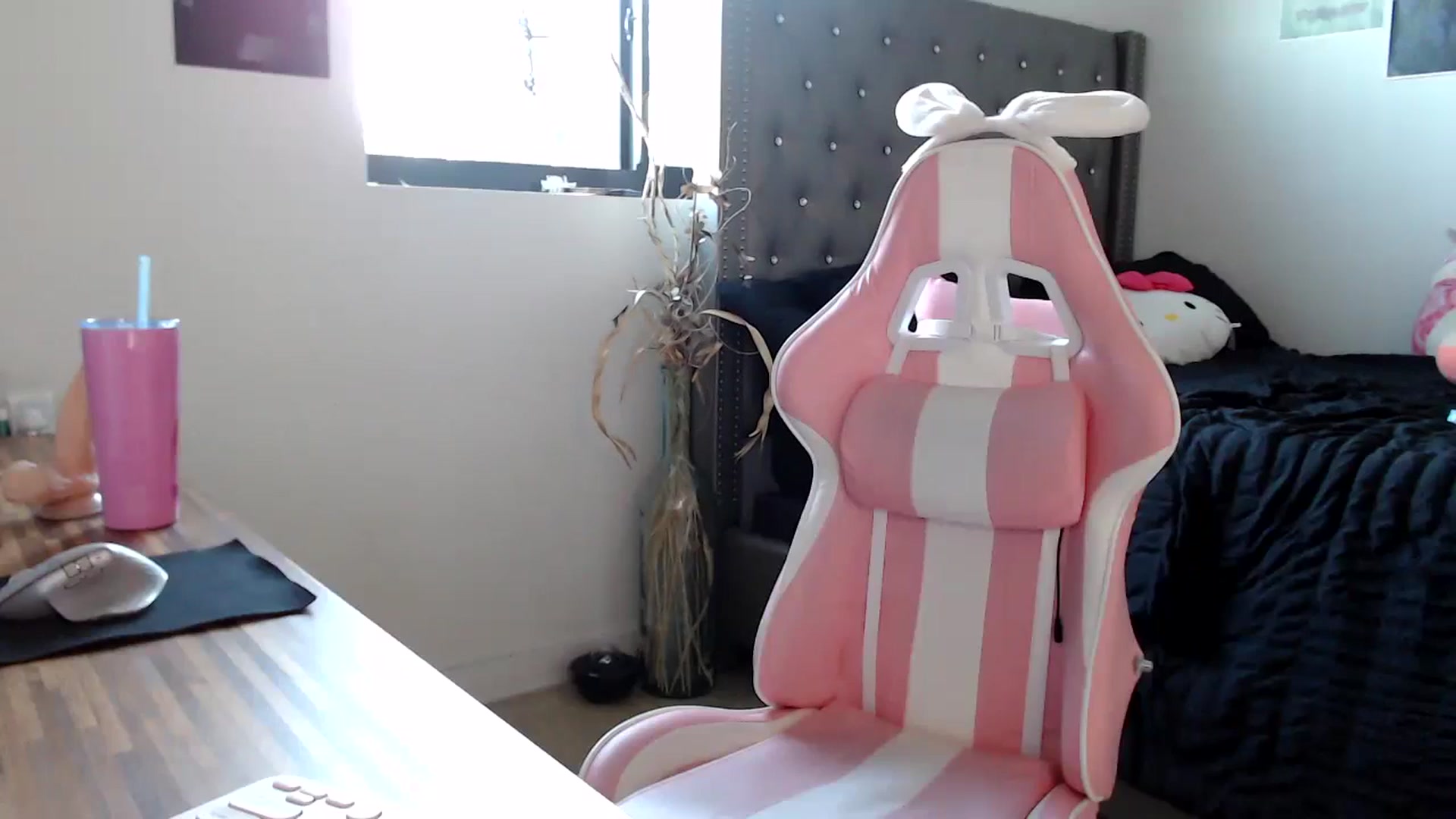 Gallery image thumbnail from iplayhardbabe's myfreecams stream on, 09/29/2024, 22:54 image 12 of 20