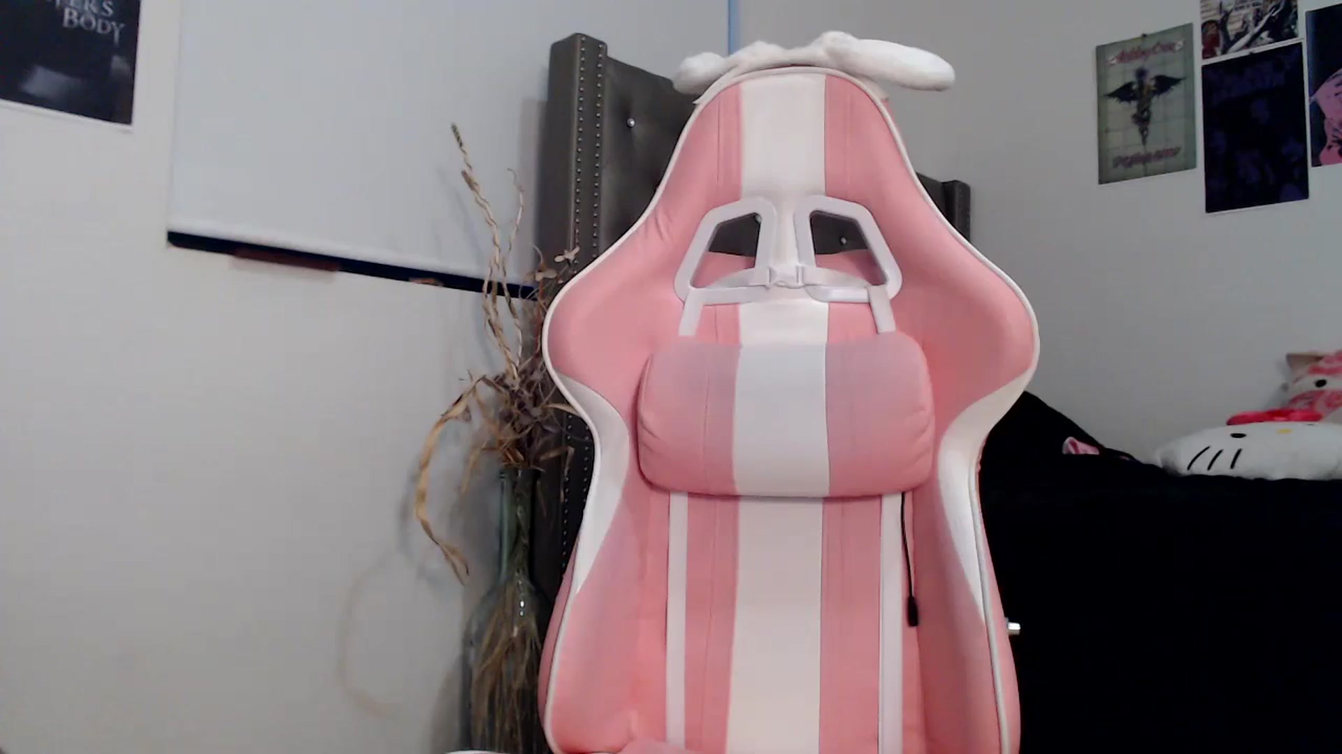 Gallery image thumbnail from iplayhardbabe's myfreecams stream on, 10/04/2024, 23:17 image 17 of 20