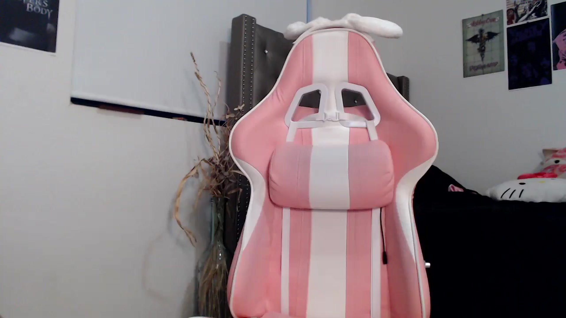 Gallery image thumbnail from iplayhardbabe's myfreecams stream on, 10/04/2024, 23:17 image 18 of 20