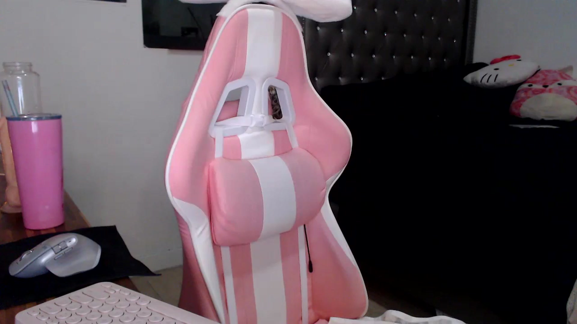 Gallery image thumbnail from iplayhardbabe's myfreecams stream on, 10/13/2024, 01:03 image 17 of 20