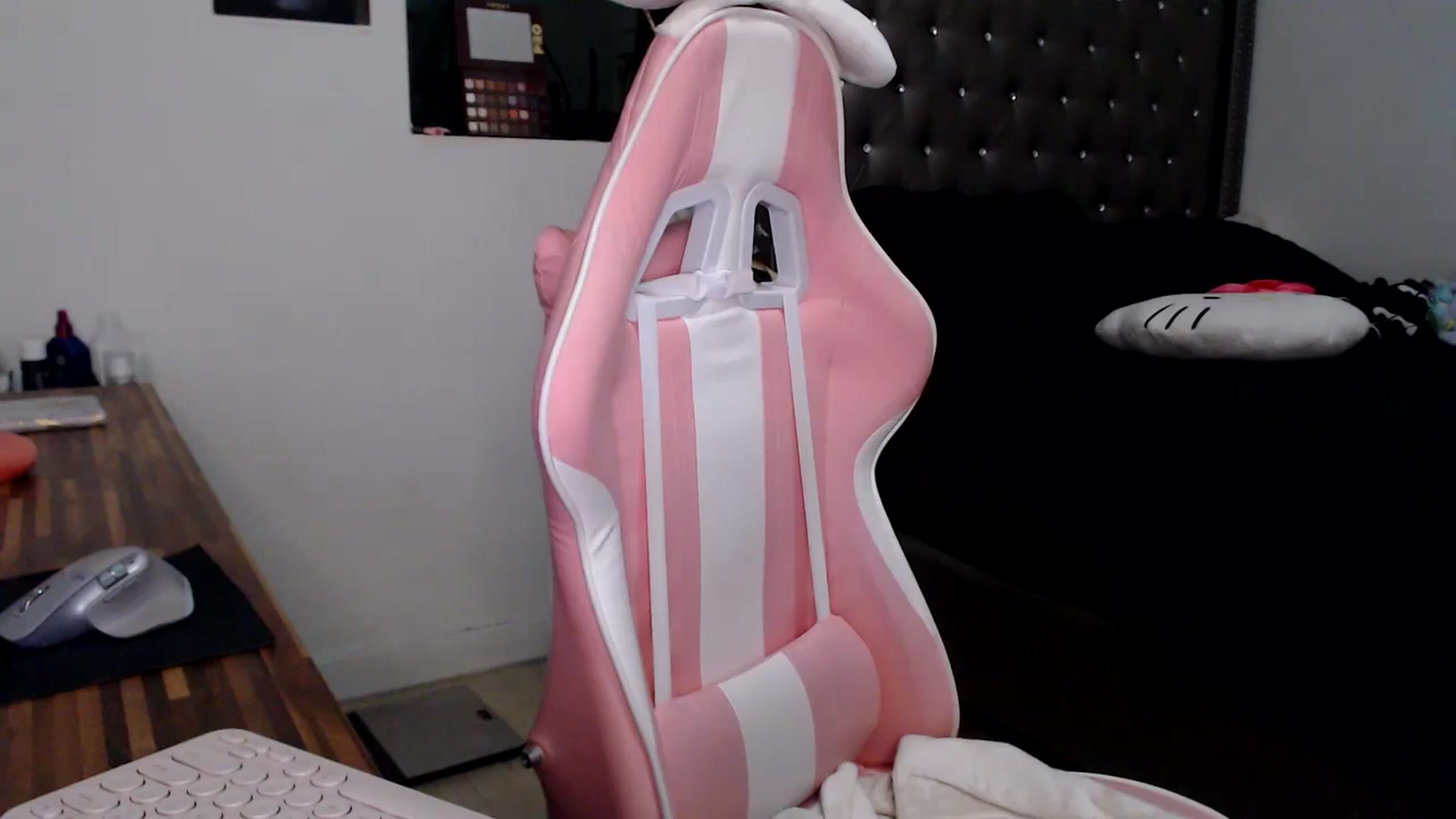Gallery image thumbnail from iplayhardbabe's myfreecams stream on, 10/20/2024, 24:26 image 19 of 20