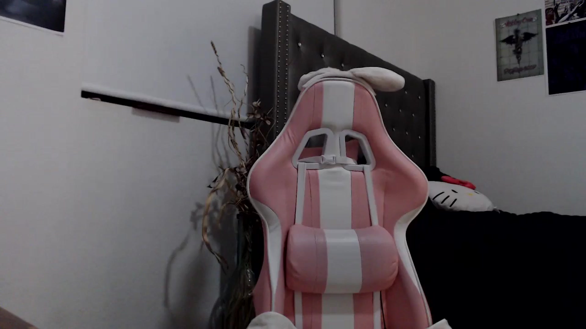 Gallery image thumbnail from iplayhardbabe's myfreecams stream on, 10/23/2024, 24:34 image 2 of 20