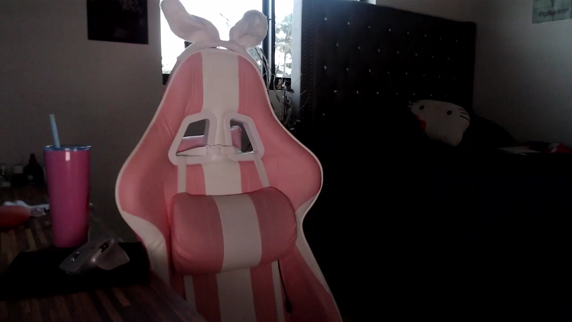 Gallery image thumbnail from iplayhardbabe's myfreecams stream on, 10/31/2024, 23:01 image 14 of 20