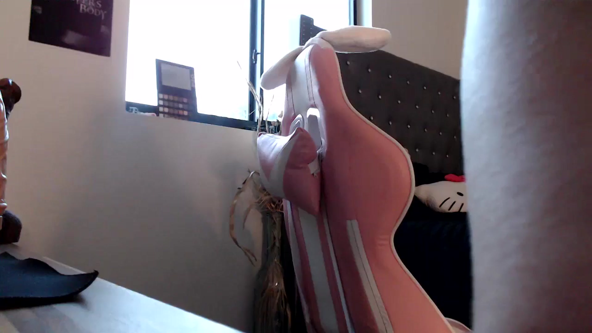 Gallery image thumbnail from iplayhardbabe's myfreecams stream on, 11/03/2024, 24:04 image 7 of 20