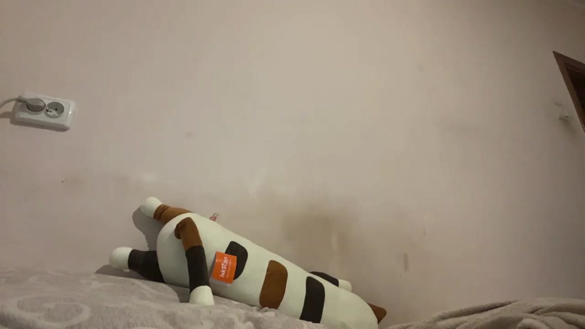 Gallery image thumbnail from irynasweetx's myfreecams stream on, 06/24/2026, 23:40 image 14 of 20