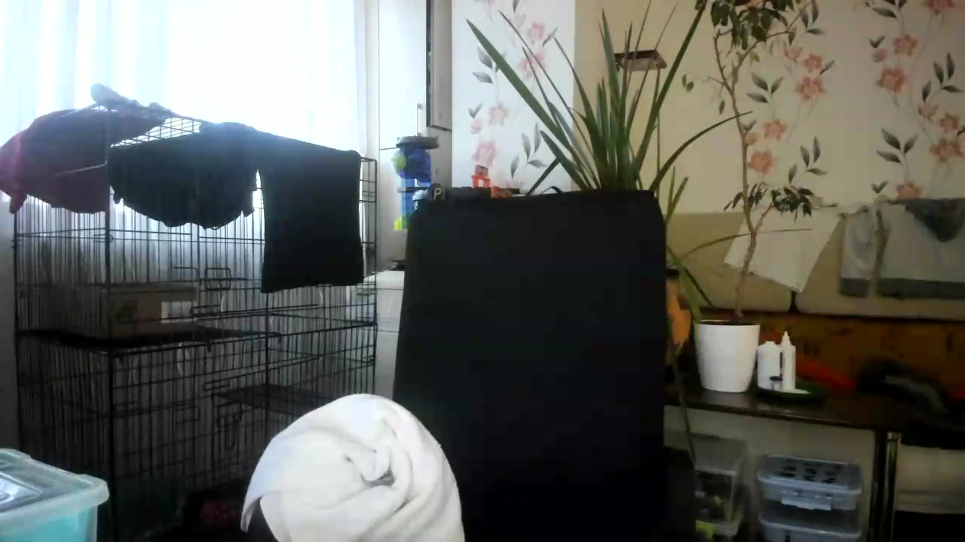 Gallery image thumbnail from irynasweetx's myfreecams stream on, 07/07/2026, 18:04 image 19 of 20