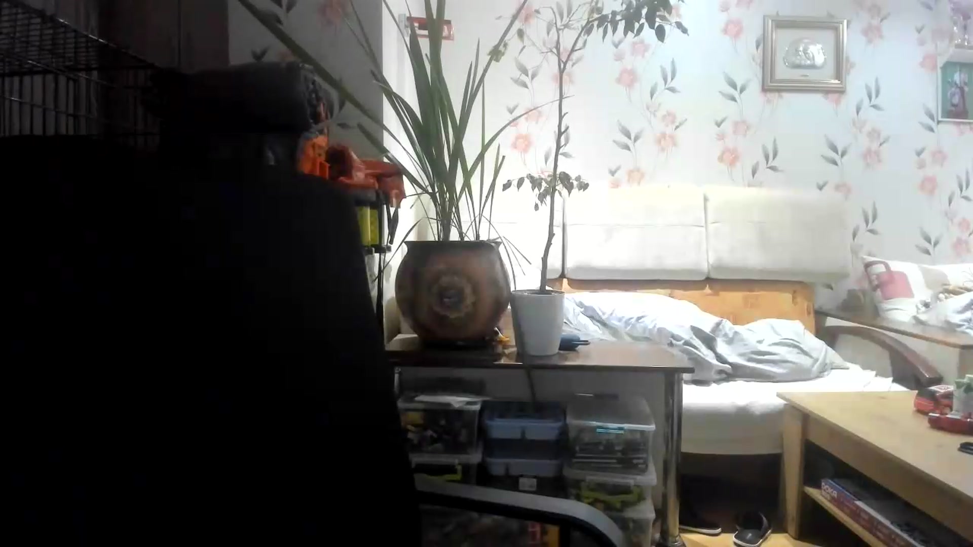 Gallery image thumbnail from irynasweetx's myfreecams stream on, 08/17/2026, 23:30 image 8 of 20