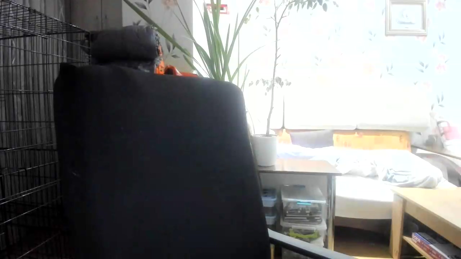 Gallery image thumbnail from irynasweetx's myfreecams stream on, 08/19/2026, 22:08 image 14 of 20