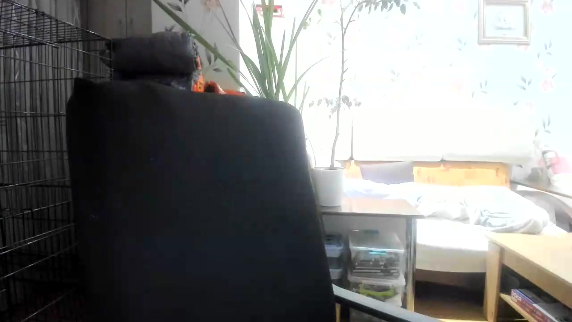 Gallery image thumbnail from irynasweetx's myfreecams stream on, 08/19/2026, 22:08 image 15 of 20