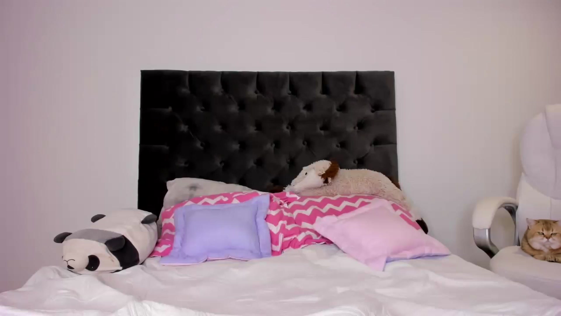 Gallery image thumbnail from its_Ari's myfreecams stream on, 11/18/2022, 01:30 image 8 of 20