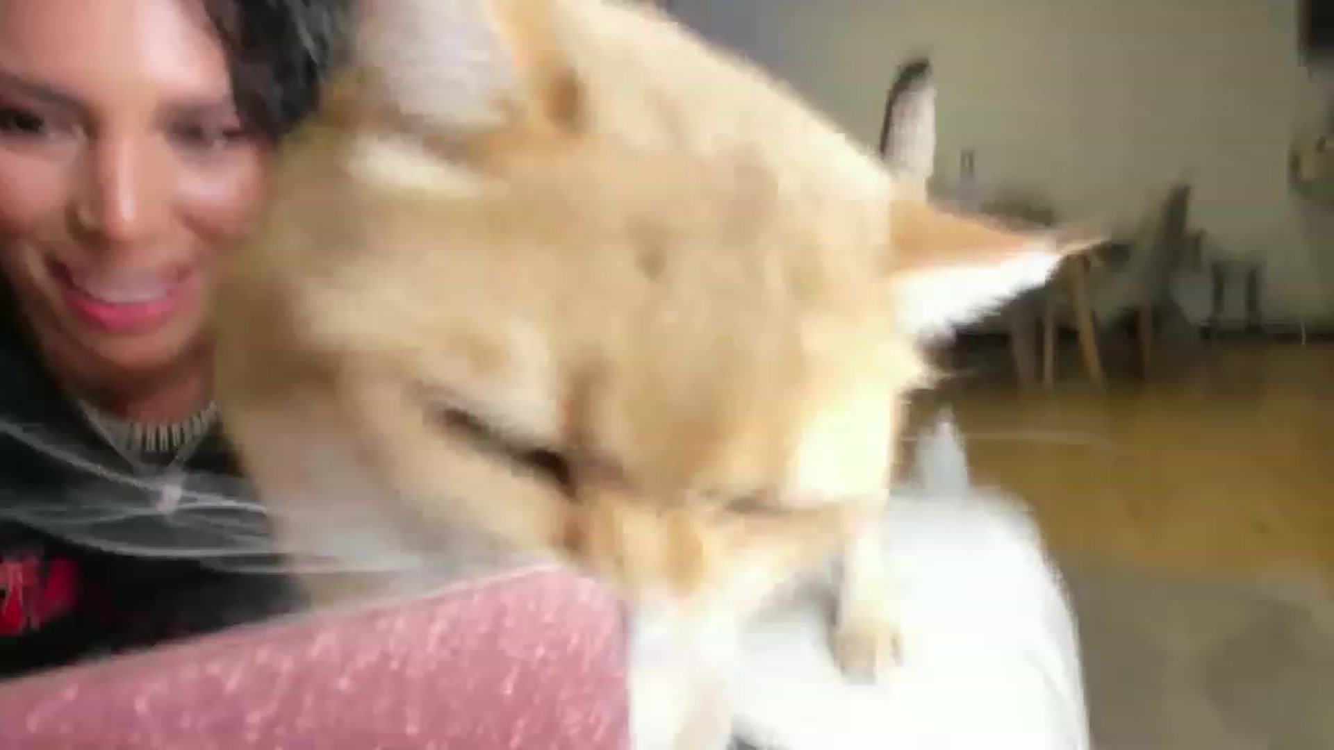 Gallery image thumbnail from its_Ari's myfreecams stream on, 12/19/2022, 24:59 image 9 of 20