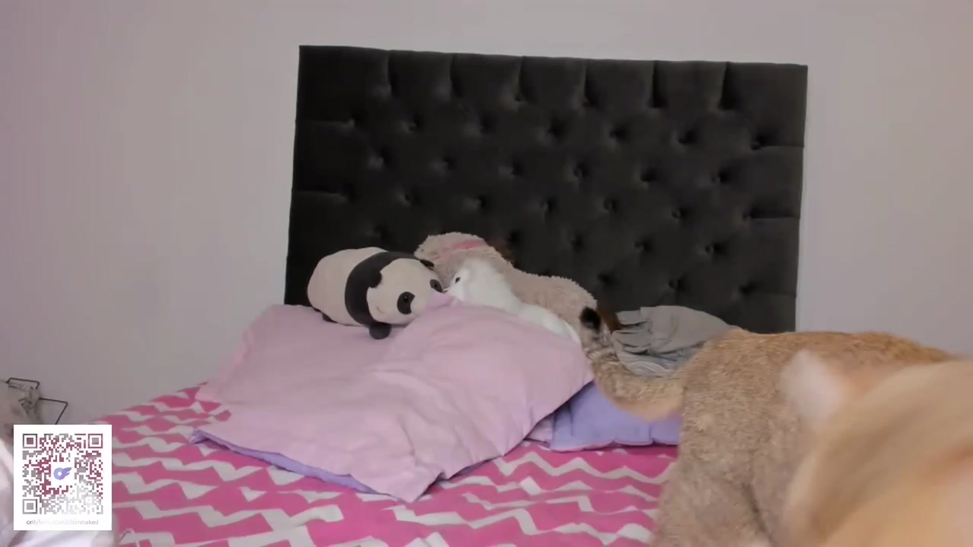 Gallery image thumbnail from its_Ari's myfreecams stream on, 01/27/2023, 01:34 image 6 of 20