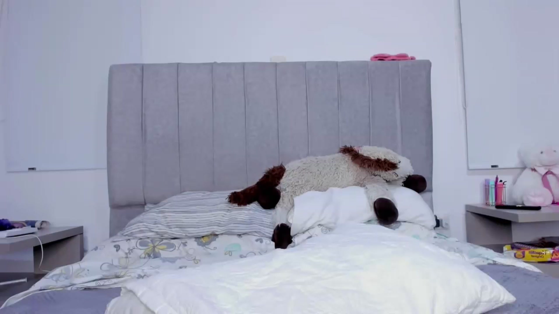 Gallery image thumbnail from its_Ari's myfreecams stream on, 10/11/2023, 01:19 image 16 of 20