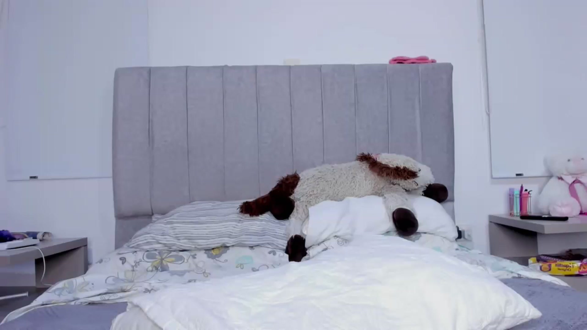 Gallery image thumbnail from its_Ari's myfreecams stream on, 10/11/2023, 01:19 image 15 of 20