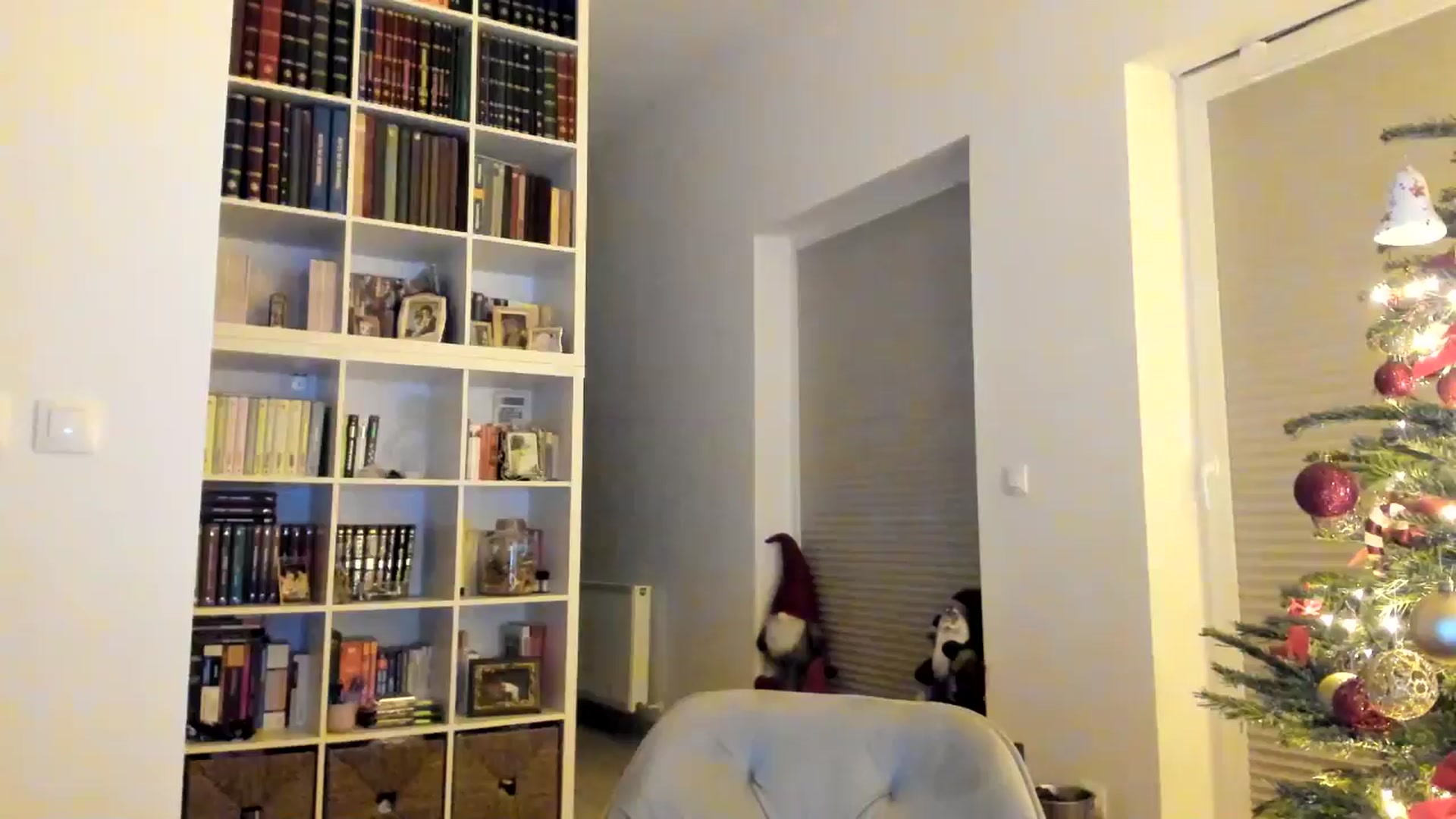 Gallery image thumbnail from itwas_eve's myfreecams stream on, 12/24/2024, 22:49 image 18 of 20