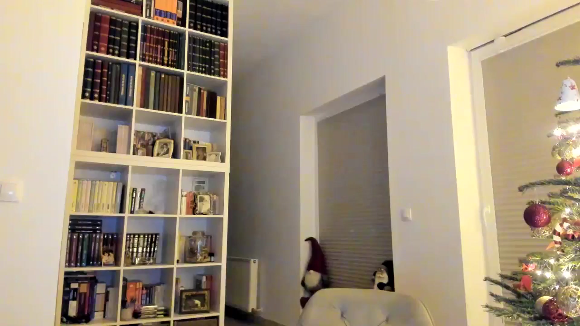 Gallery image thumbnail from itwas_eve's myfreecams stream on, 12/25/2024, 02:22 image 14 of 20